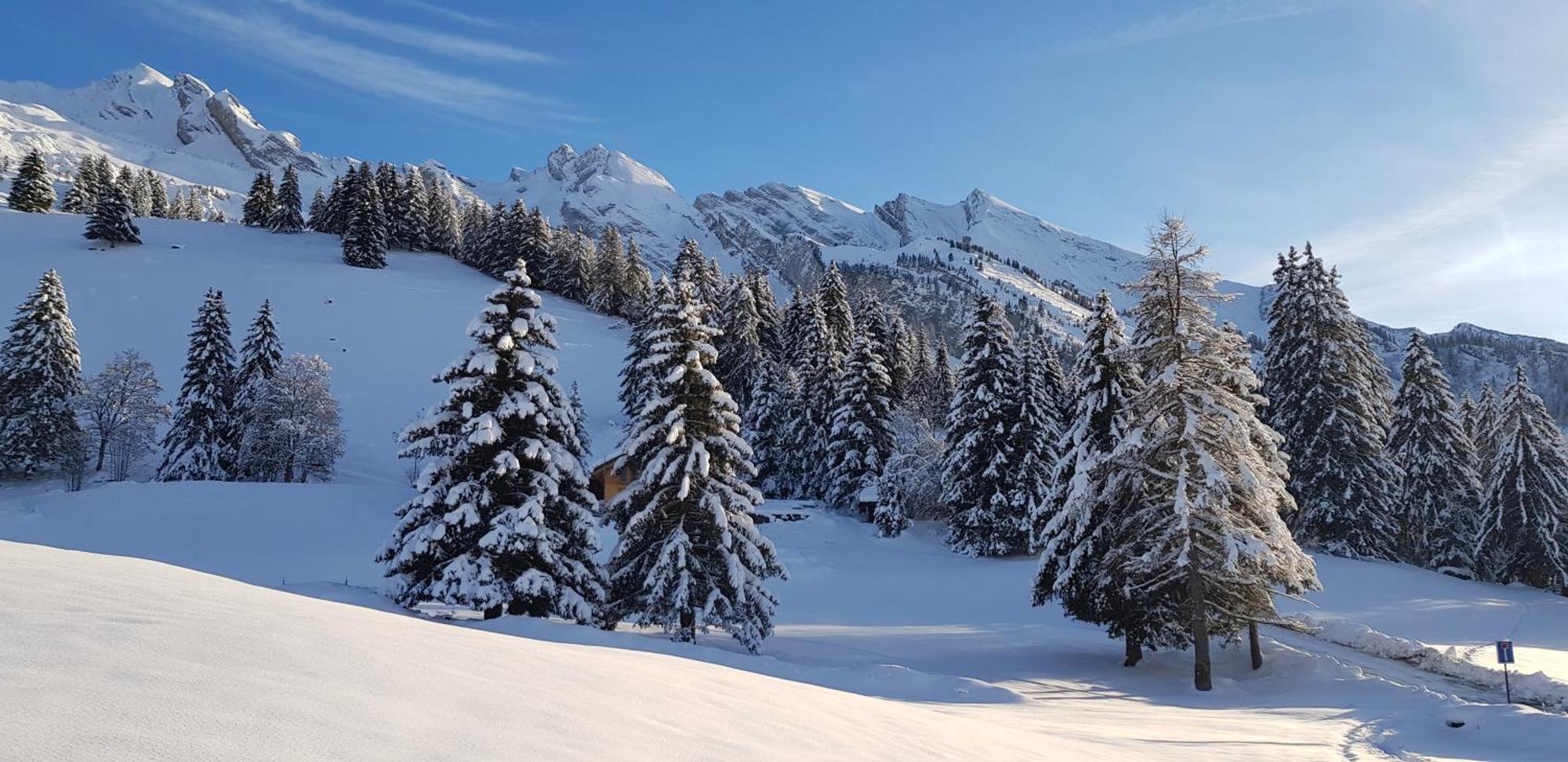Appartement Cosy Face Aux Aravis Le Grand-Bornand Exterior foto